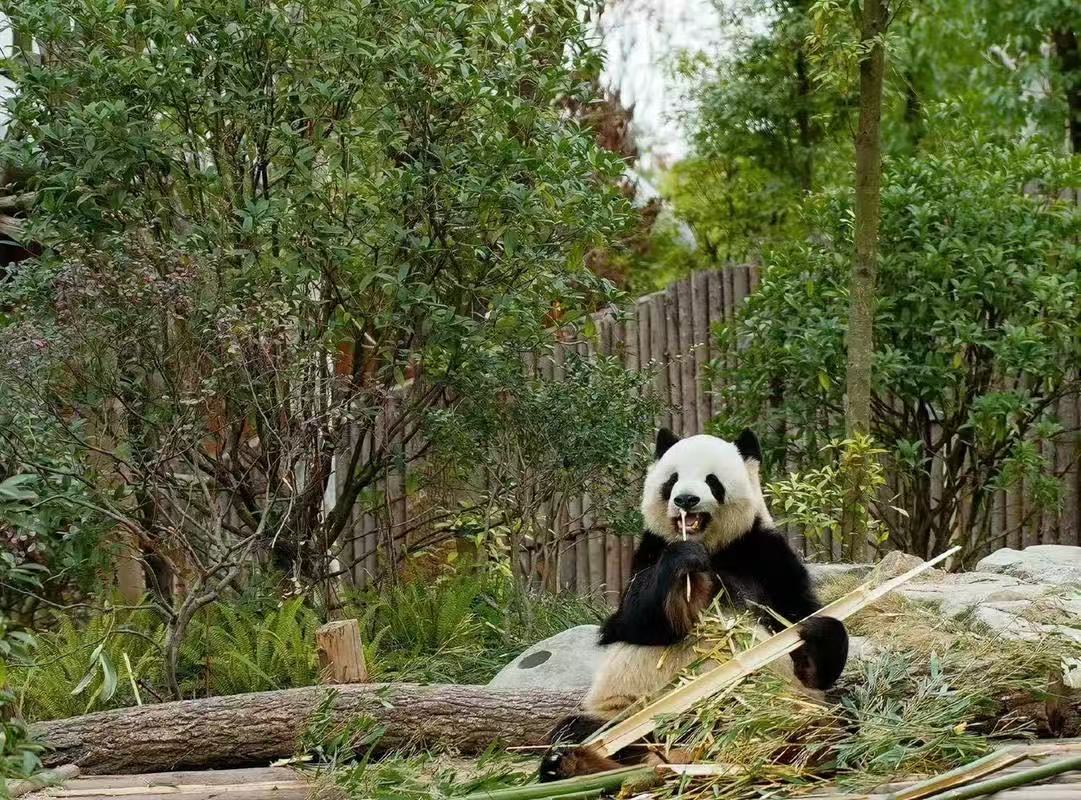 8d76d4dd5cee12097a83eabd25eaa65d