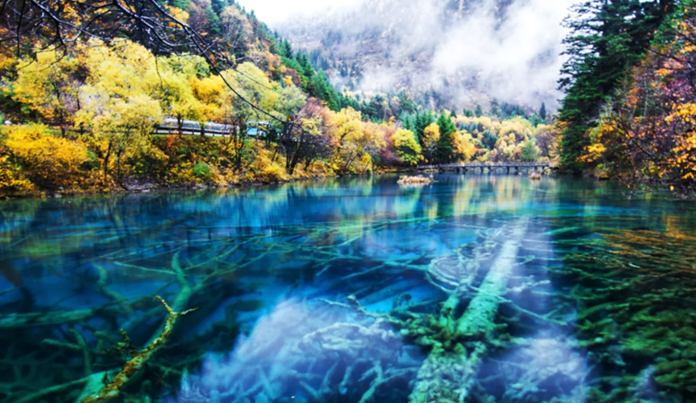 Essence of Sichuan: More than Home to Pandas 九寨沟