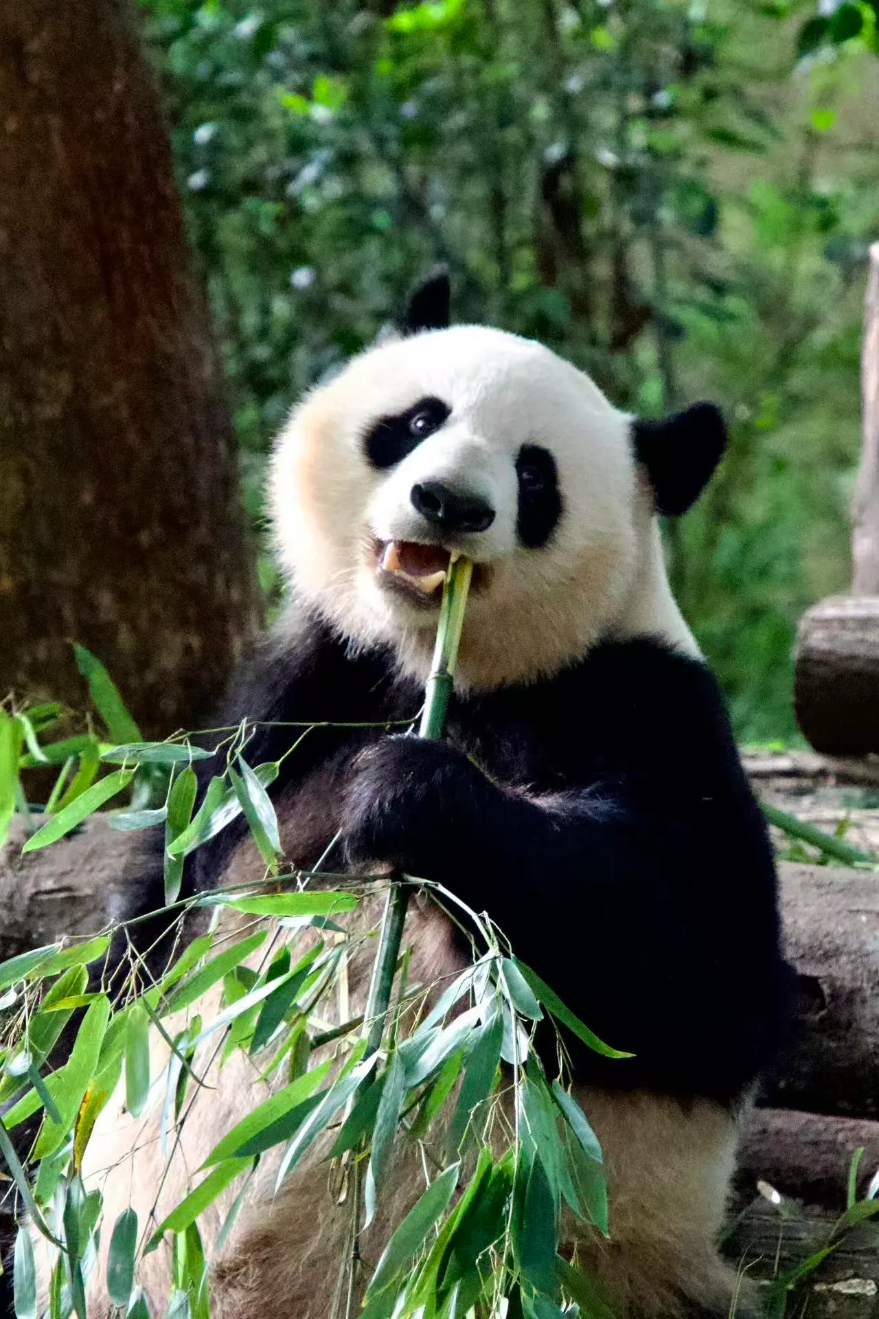 0dc673e7fd90085d49b6a94faf6627fe